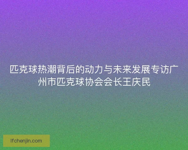 匹克球热潮背后的动力与未来发展专访广州市匹克球协会会长王庆民